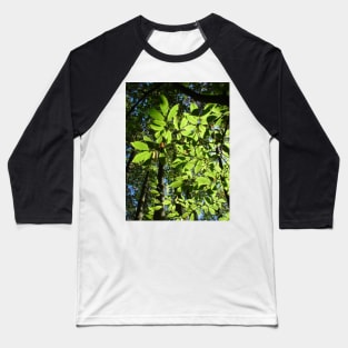 Sweet Chestnut Leaves Baseball T-Shirt